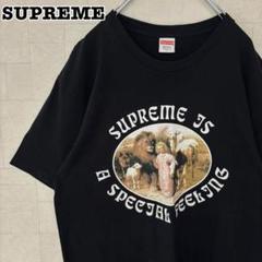 【人気Lサイズ】シュプリーム☆サファリプリントTシャツ　センターサークル　750