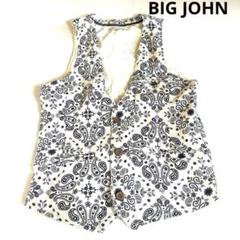 希少 BIG JOHN ビッグジョン インターナショナル ベスト ペイズリー