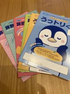向山洋一　算数DVD 分数 2025年最新】向山洋一映像全集の人気アイテム - メルカリ