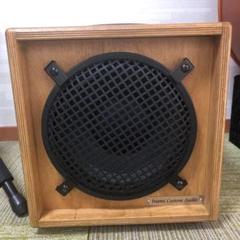 Inami Custom Audio ICA 10N