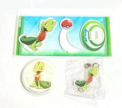 ヴィレヴァン ポケモン まとめ キモリ