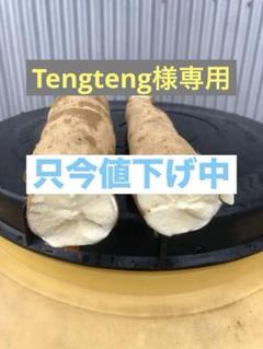 徳之島産キッサバ生芋22キロ入り 徳之島産キッサバ生芋22キロ入り - メルカリ