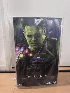 Hot Toys - 【中古品】ホットトイズ　ハルク&amp;ウィンターソルジャーセット 2025年最新】ホットトイズ ハルクの人気アイテム - メルカリ