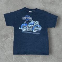 Harley-Davidson ロンT Y2K フェアリーグランジ 平成ギャル Harley-Davidson ピチt Y2K フェアリーグランジ 平成ギャル男