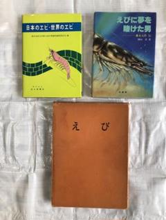 【中古】 応用力学 動力学編/好学社/ステファン・Ｐ．チモシェンコ 応用力学 (動力学編) 好学社 ステファン・P.チモシェンコ | Shop
