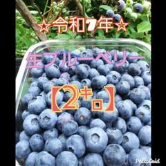 ☆令和7年 生ブルーベリー☆農薬不使用 1㌔ - メルカリ