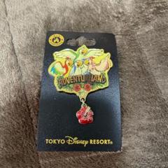 東京ディズニーランド チキルーム ピンバッジ Disney - 新品☆ディズニー ピンバッジ 魅惑のチキルーム バード