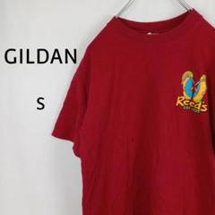GILDAN　半袖　Tシャツ　S　レッド　Reed’ｓ EST.1905