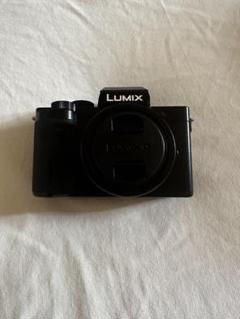 2025年最新】lumix g100の人気アイテム - メルカリ