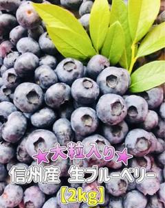 ⭐️信州産⭐️生ブルーベリー2kg【クール便発送＊朝採り＊農薬