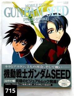 機動戦士ガンダムSeed ストライク編