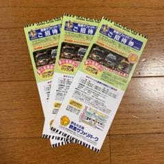 群馬サファリパーク 招待券 3枚