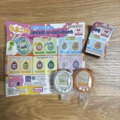 たまごっち　ミニチュアチャームコレクション4 2個セット ガチャ