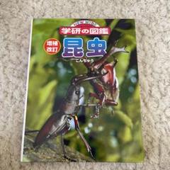 学研の図鑑〜昆虫