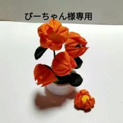 No.375 専用　ほおづき