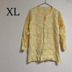 長袖 ブラウス シアーブラウス シースルー チュニック 総柄 花柄刺繍 XL