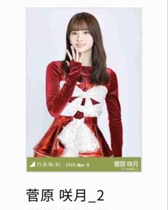菅原咲月 乃木坂46 乃木コレ スペシャル衣装43 SR 菅原咲月 スペシャル衣装43 乃木コレ 生写真 SR 4種セット
