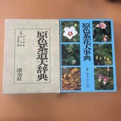 2025年最新】茶花大事典の人気アイテム - メルカリ