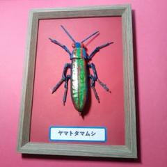 作品6 竹細工昆虫[ヤマトタマムシ]　額入り