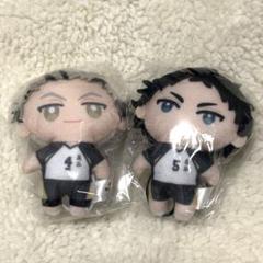 ハイキュー!! かぷっこふれんず 木兎光太郎 赤葦京治 ガチャガチャ ぬいぐるみ