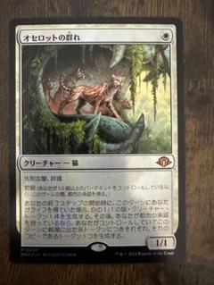 オセロットの群れ(ボーダーレス) FOIL] オセロットの群れ/Ocelot Pride (海外産ブースター版