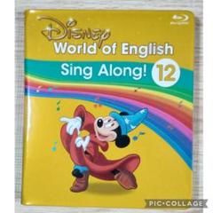 2020年購入DWE Sing Along ブルーレイDVD全12巻セット 2023年2月購入！DWE 全12巻セットブルーレイ、CD、ガイドブック付き