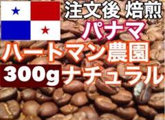 エチオピア モカハラースター300g パナマ300※即購入可