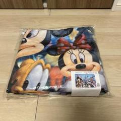 ディズニーリゾート パートナーズ像 ミッキーフレンズ 大判 ブランケット レア ディズニーリゾート パートナーズ像 ミッキーフレンズ 大判