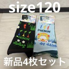 Pikmin ピクミン　パンツ　男児　キッズ　ボクサーブリーフキャラフルインナー