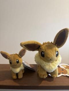 イーブイ ぬいぐるみ 2体セット
