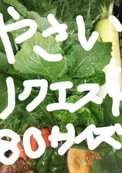 野菜リクエスト80サイズ