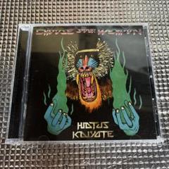 HIATUS KAIYOTE / CHOOSE YOUR WEAPON