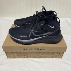 チ*つ様 NIKE　ペガサストレイルGTX 27.5 レビュー】Nike ペガサストレイル 5 GTX：美しすぎる防水