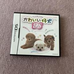かわいい子犬 DS