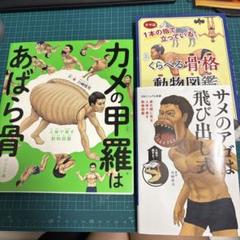 中古 カメの甲羅はあばら骨 川崎悟司