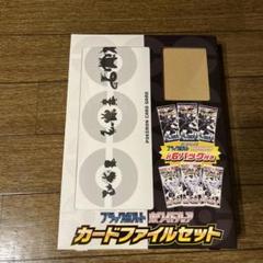 ブラックボルト　ホワイトフレア　カードファイルセット