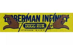 DOBERMAN INFINITY 超希少！ マフラータオル DOBERMAN INFINITY タオル We are the one - メルカリ