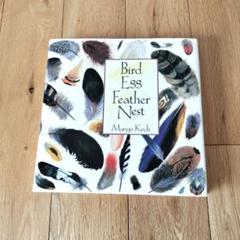 洋書　Bird Egg Feather Nest　絵本