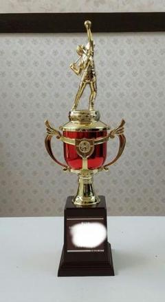 FEDCUP Tennis(テニス)記念品トロフィー FEDCUP Tennis(テニス)記念品トロフィー