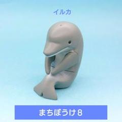 イルカ様 backend=imagemagick;version=1;