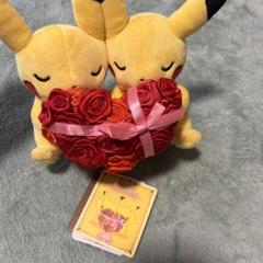 ポケモンセンター　マンスリーペアピカチュウ（２月） ポケモンセンター マンスリーペアピカチュウ 2月 ぬいぐるみ