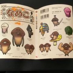 【稀少】なめこ図鑑★6冊セット★帯付き★ Amazon.co.jp: なめこ図鑑Deluxe 普通の原木・高級な原木 編