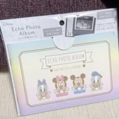 22年最新 エコー写真 アルバム ディズニーの人気アイテム メルカリ
