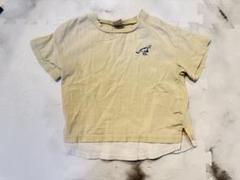 petit main 恐竜刺繍 Tシャツ 100cm