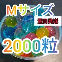 【約2000粒】Mサイズ ぷよぷよボール 水で膨らむボール