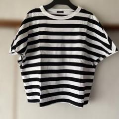 オールドマンズテーラー　ボーダー半袖Tシャツ　ブルー×白 6109) R&D.M.Co-/OLDMANS TAILOR(アールアンドディーエムコー