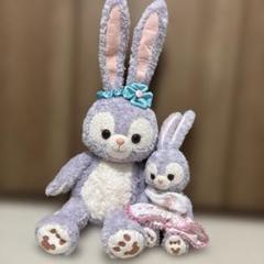 ステラルー　ディズニーシー　ぬいぐるみセット　お値下げ ステラルーぬいぐるみ + コスチューム セット 初期ロット【16300