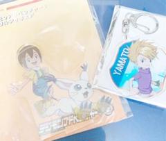 八神ヒカリ&テイルモンの中古/未使用品 - メルカリ