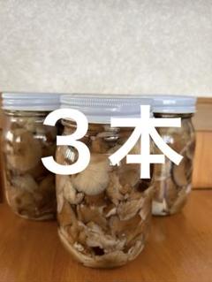 ナラタケ(さもだし)10本 きのこ瓶詰め ナラタケ10本(さもだし)