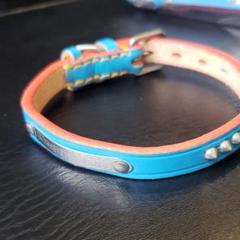 革☆ドギーマン☆小型犬☆首輪☆水色